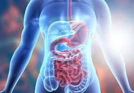 Stomach chronic disease through hijama therapy