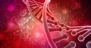 hormone & blood chronic disease